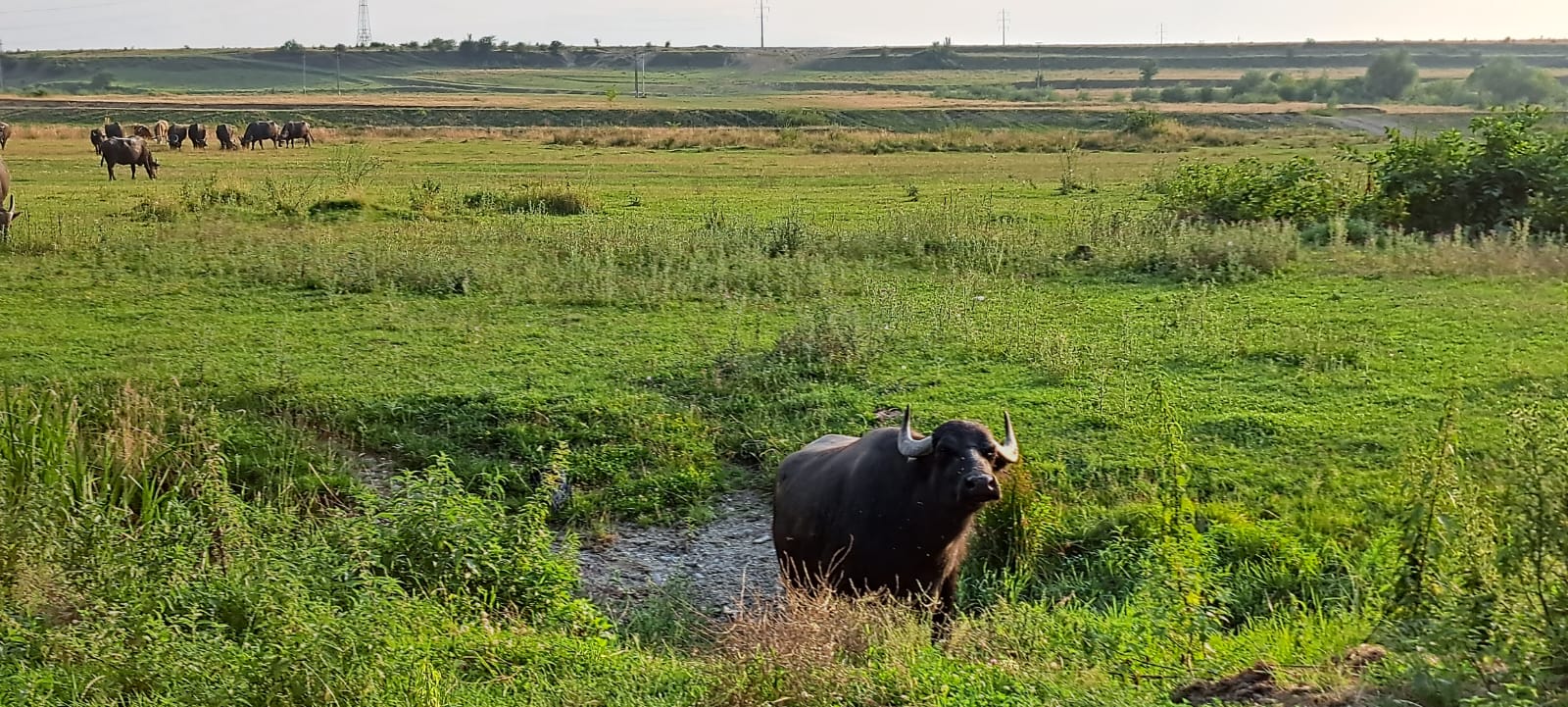 Facilități Porumbacu381