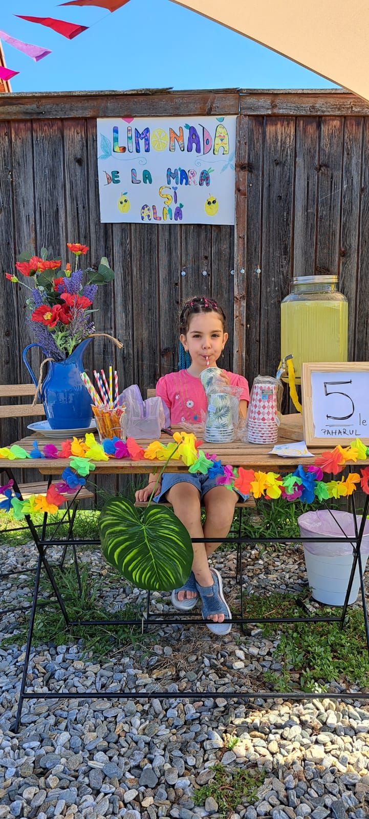 Facilități Porumbacu381